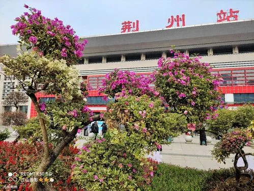 寧波到荊州物流專(zhuān)線(xiàn)-寧波至荊州貨運(yùn)公司