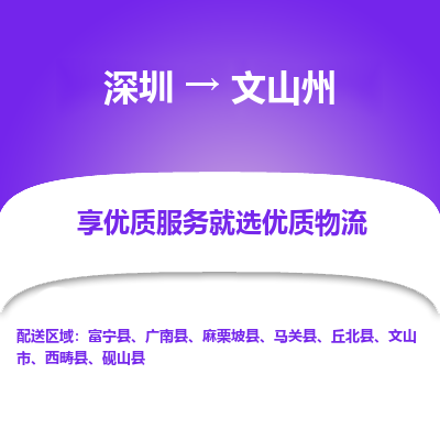 深圳到文山州貨運站-上門提貨-一對一服務(wù)