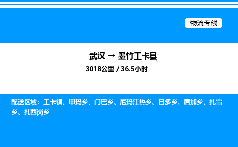 武漢到墨竹工卡縣物流專線-武漢至墨竹工卡縣貨運公司