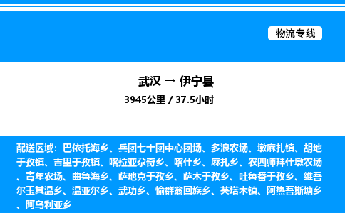 武漢到伊寧縣物流專線-武漢至伊寧縣貨運(yùn)公司